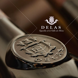 DOMAIEN DELAS LOGO DOMAIEN DELAS LOGO