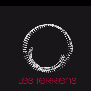 DOMAINE LES TERRIENS LOGO DOMAINE LES TERRIENS LOGO