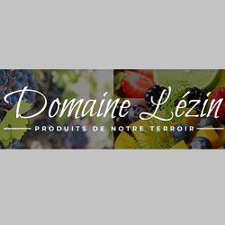 DOMAINE LEZIN LOGO DOMAINE LEZIN LOGO
