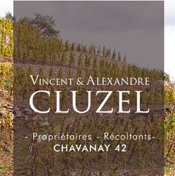 Domaine Vincent Alexandre Cluzel logo Domaine Vincent Alexandre Cluzel logo