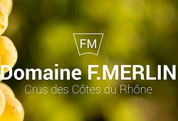 DOMAINE MERLIN LOGO DOMAINE MERLIN LOGO